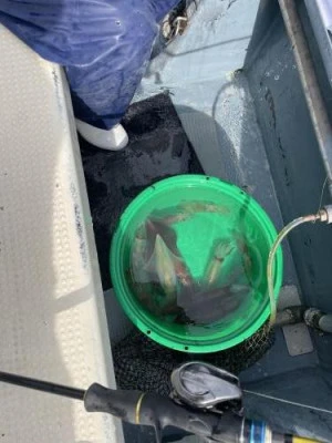 佐円丸の2026年2月20日(金)5枚目の写真