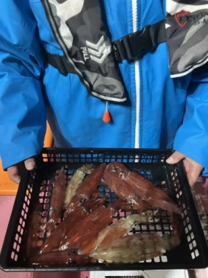 第八幸松丸の2026年2月20日(金)5枚目の写真