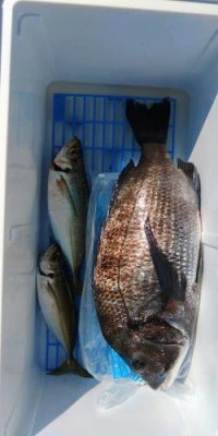 瀬渡し 浜栄丸の2026年2月20日(金)2枚目の写真