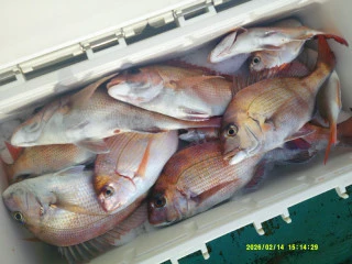 ゆたか丸の2026年2月14日(土)2枚目の写真