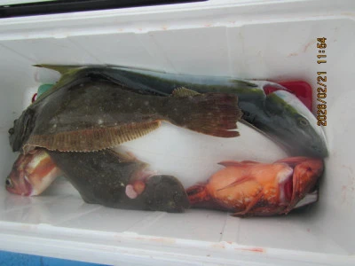 大洗丸の2026年2月21日(土)3枚目の写真