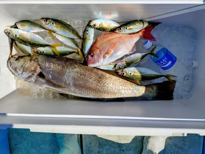 ゆきみ丸の2026年2月21日(土)1枚目の写真