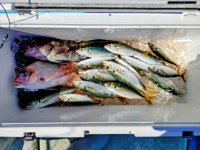 ゆきみ丸の2026年2月21日(土)3枚目の写真