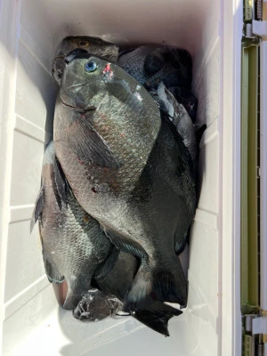 海翔丸の2026年2月10日(火)4枚目の写真