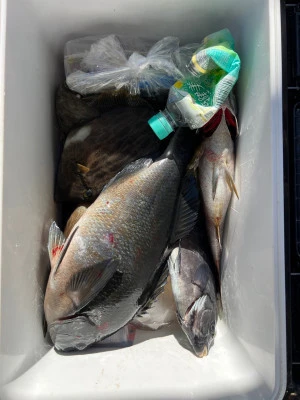 海翔丸の2026年2月10日(火)5枚目の写真