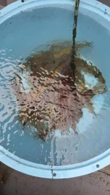 信栄丸の2026年2月21日(土)3枚目の写真