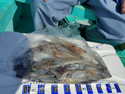 第八鶴丸の2026年2月22日(日)1枚目の写真