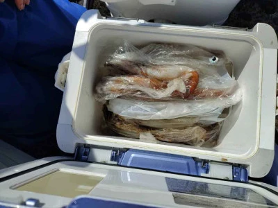 第八鶴丸の2026年2月22日(日)2枚目の写真