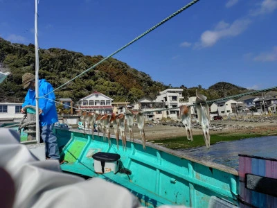 第八鶴丸の2026年2月22日(日)3枚目の写真