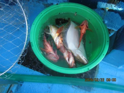 大洗丸の2026年2月22日(日)3枚目の写真