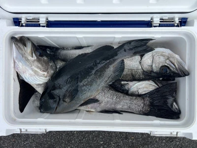 海翔丸の2026年2月22日(日)2枚目の写真