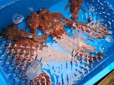 智栄丸の2026年2月23日(月)2枚目の写真