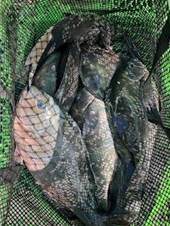 第三福丸の2026年2月20日(金)4枚目の写真