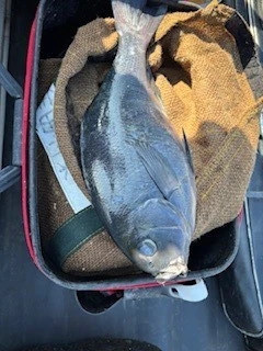 第三福丸の2026年2月20日(金)5枚目の写真