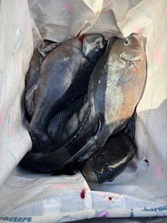 第三福丸の2026年2月23日(月)1枚目の写真