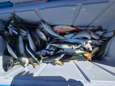 幸伸丸の2026年2月18日(水)1枚目の写真