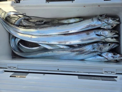 幸伸丸の2026年2月23日(月)4枚目の写真