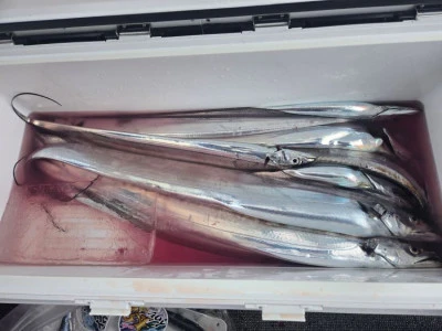 幸伸丸の2026年2月23日(月)5枚目の写真