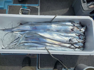 幸伸丸の2026年2月24日(火)1枚目の写真