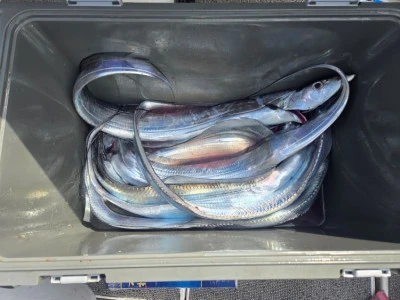 幸伸丸の2026年2月24日(火)2枚目の写真