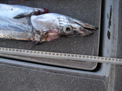 絢美丸の2026年2月20日(金)3枚目の写真