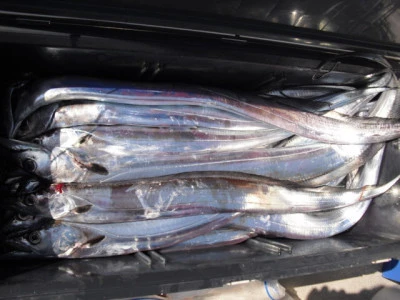 絢美丸の2026年2月20日(金)5枚目の写真