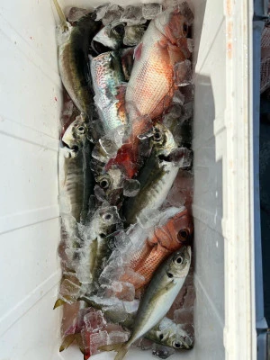 にゃんこ丸の2026年2月23日(月)1枚目の写真