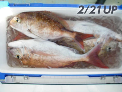 遊漁船日光の2026年2月21日(土)3枚目の写真