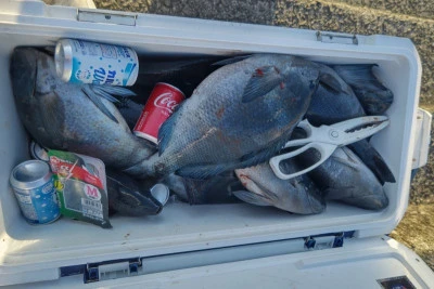 磯八丸の2026年2月18日(水)1枚目の写真