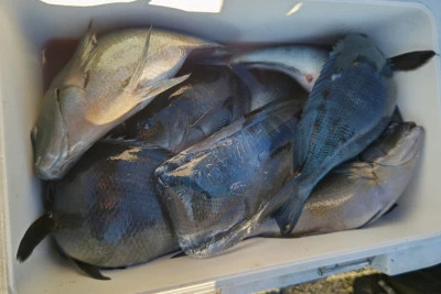 磯八丸の2026年2月18日(水)2枚目の写真