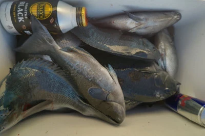 磯八丸の2026年2月18日(水)3枚目の写真