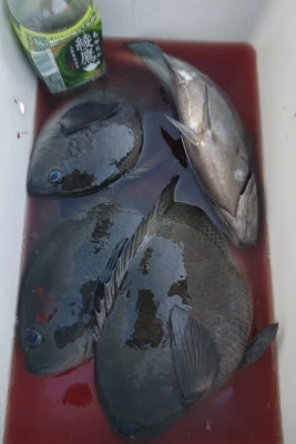 磯八丸の2026年2月18日(水)5枚目の写真