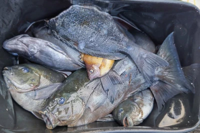 磯八丸の2026年2月19日(木)2枚目の写真