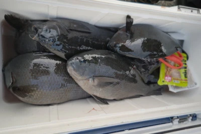 磯八丸の2026年2月19日(木)3枚目の写真