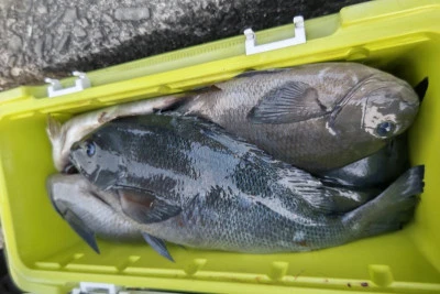 磯八丸の2026年2月19日(木)5枚目の写真