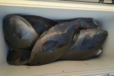 磯八丸の2026年2月20日(金)3枚目の写真