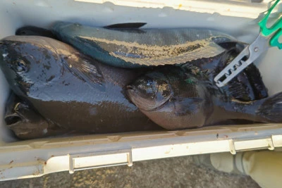 磯八丸の2026年2月21日(土)3枚目の写真