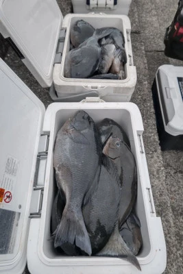 磯八丸の2026年2月24日(火)1枚目の写真