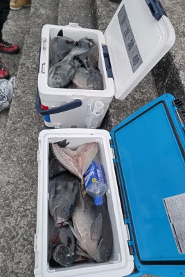 磯八丸の2026年2月24日(火)2枚目の写真