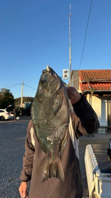 功丸の2026年2月18日(水)4枚目の写真