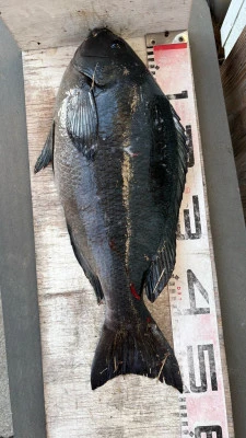 功丸の2026年2月18日(水)5枚目の写真