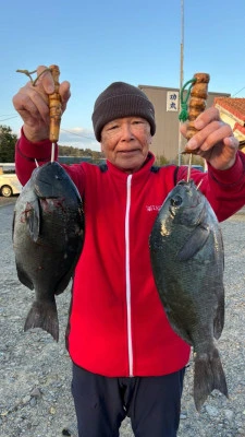 功丸の2026年2月20日(金)2枚目の写真