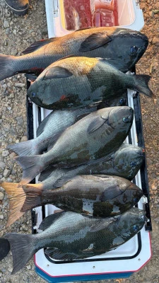 功丸の2026年2月21日(土)5枚目の写真