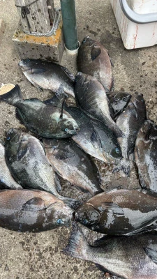 功丸の2026年2月24日(火)3枚目の写真