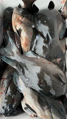 功丸の2026年2月24日(火)4枚目の写真