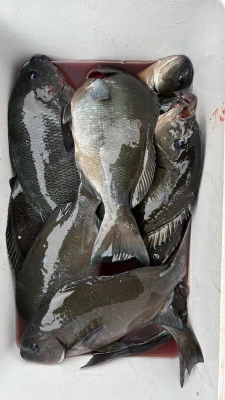 功丸の2026年2月24日(火)5枚目の写真