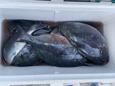 真珠・山本釣り筏の2026年2月19日(木)1枚目の写真