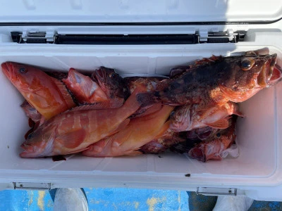 真珠・山本釣り筏の2026年2月21日(土)1枚目の写真