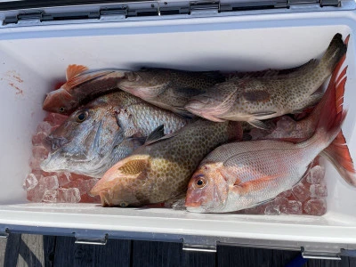 真珠・山本釣り筏の2026年2月21日(土)2枚目の写真