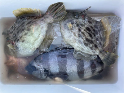 真珠・山本釣り筏の2026年2月21日(土)3枚目の写真